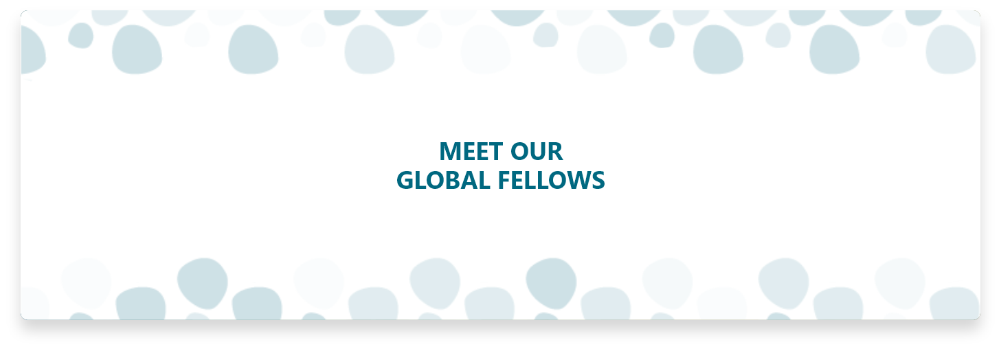 Meet-our-global-fellows_button